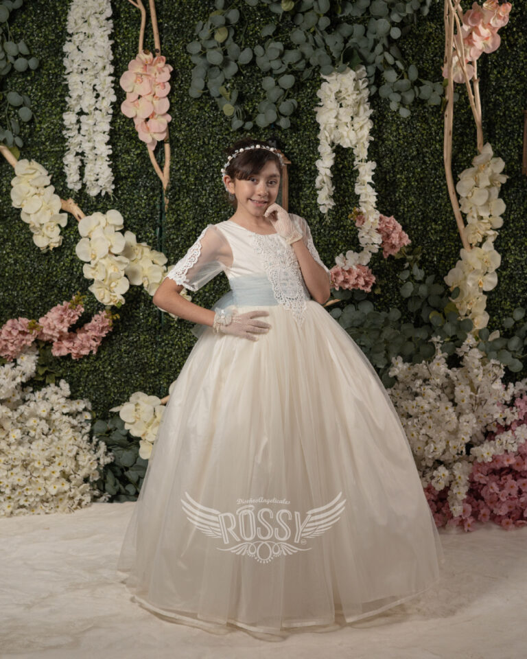Modelo Elsa